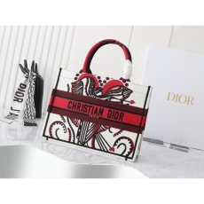 Christian Dior Shopping Bags